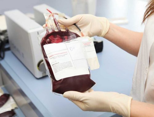 he-thong-san-pham-truyen-mau-nvyb1pjqqga3fgqtirl0xh96oemgraraz6vgu02314